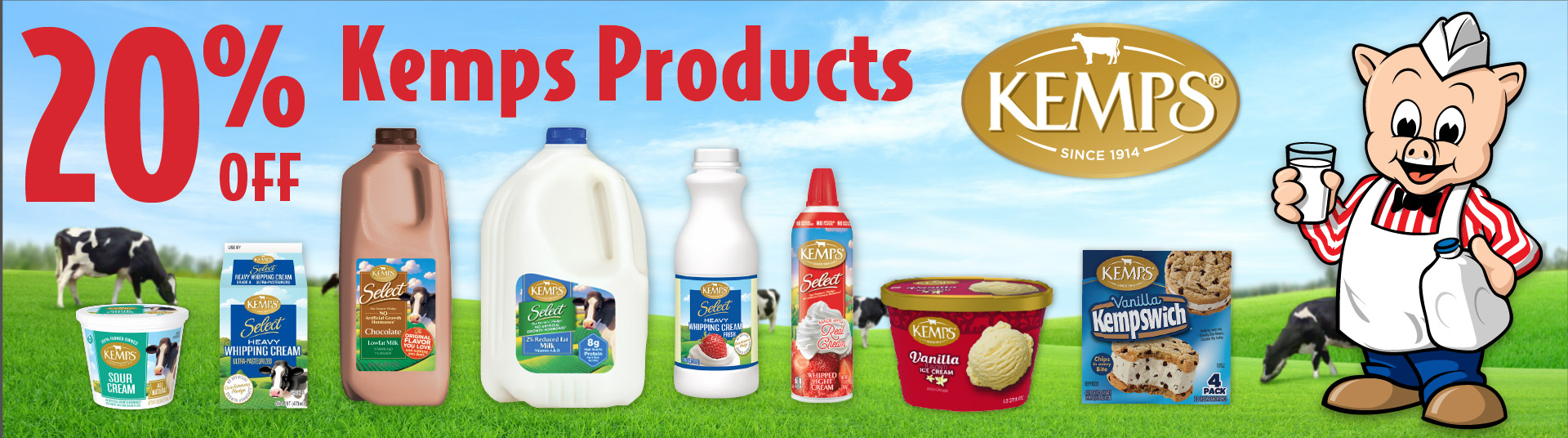 20% Off Kemps Products