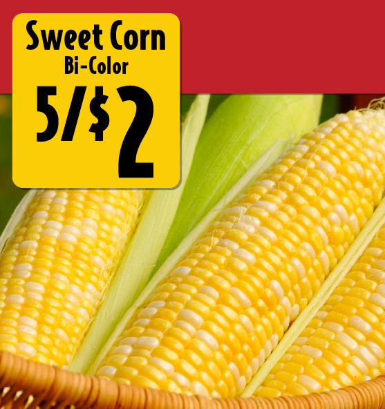 Sweet Corn Bi-Color 5/$2.