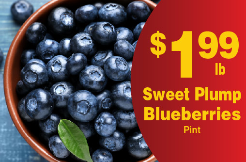 Sweet Plump Blueberries Pint 1.99