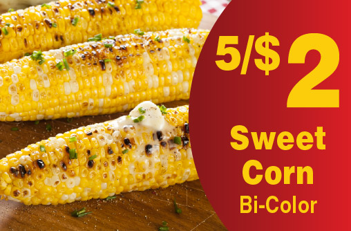 Sweet Corn Bi-Color 5/$2